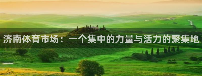 fb体育官方:济南体育市场:一个集中的力量与活力的聚集地